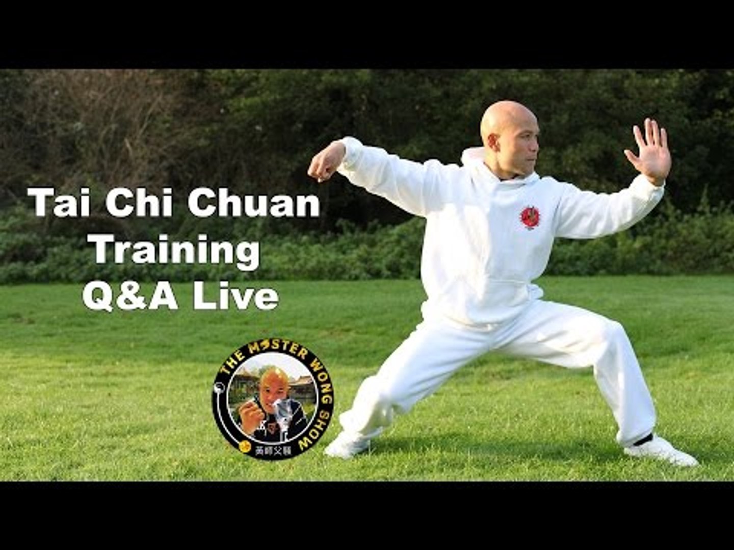 Tai Chi Chuan Training Q&A Live: Tai Chi - video Dailymotion