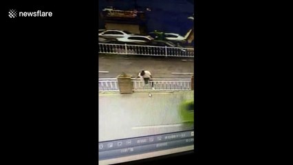 Woman gets head stuck in central reservation