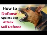 How to Defend against Dog Attack - Self Defence