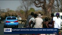 i24NEWS DESK | Elephant advocates outraged over new hunting law | Thursday, November 16th 2017