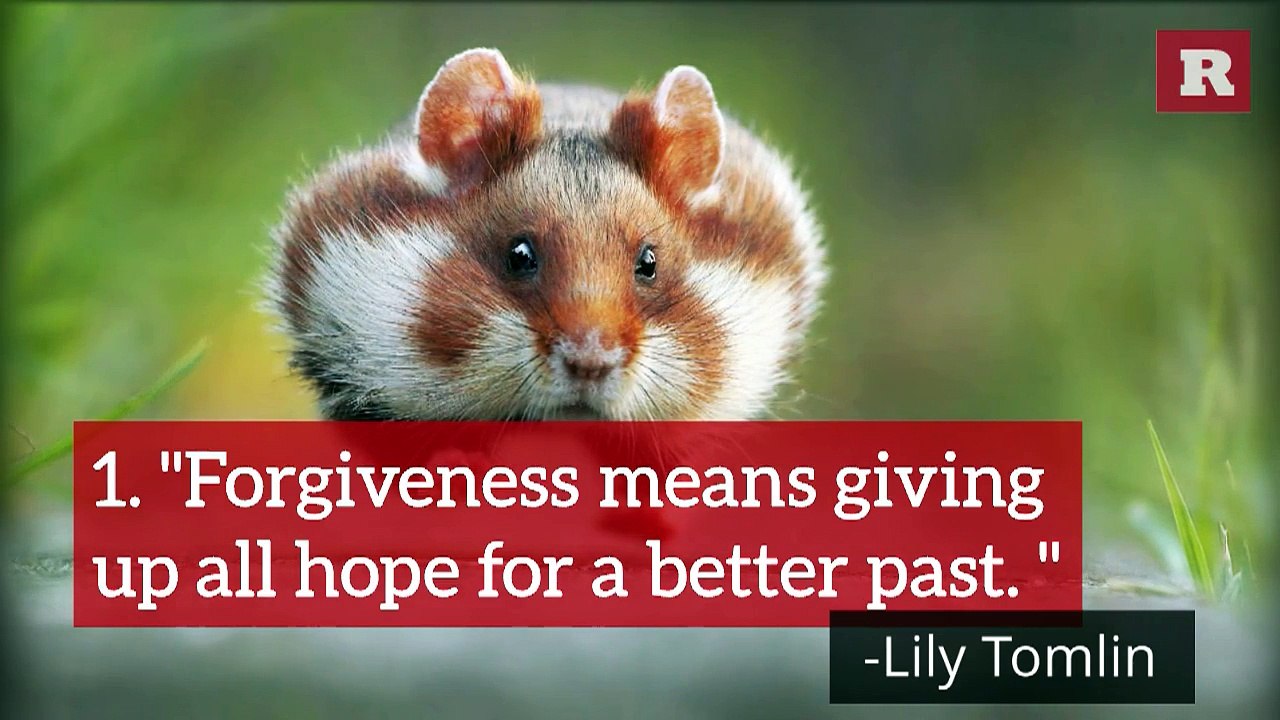 5 Quotes to Remind you to Be Happy | Rare Life
