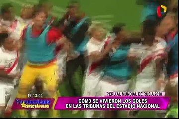 Desde la tribuna: así se vivieron los goles que nos llevaron a Rusia 2018