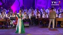 Alin Milică - Festivalul Concurs Naţional al Interpreţilor Cântecului Popular Românesc 