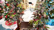 Festival of Trees    Nov 17 2017 in Sterling, IL and things to do in Dixon, IL