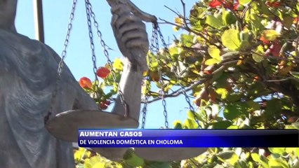 Aumentan casos de violencia domestica en Choloma