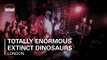 Totally Enormous Extinct Dinosaurs Boiler Room London DJ Set