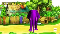 Wild animals Names for Kids toddlers - Colors animals Finger family rhymes 3D Animation