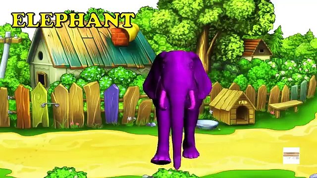Wild animals Names for Kids toddlers - Colors animals Finger family rhymes 3D Animation