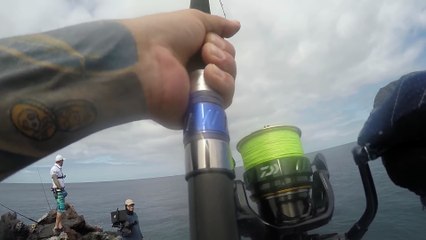 New World Record Yellowfin Tuna off the Rocks 107.5KG