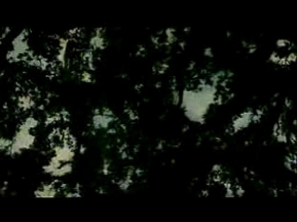 Slipknot - vermilion pt2