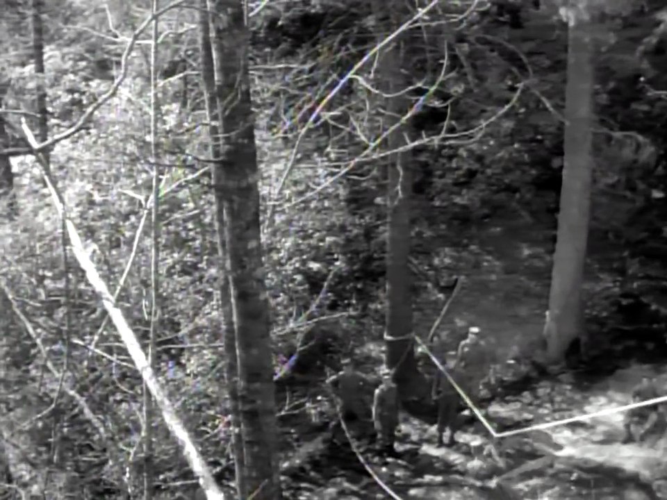 Ranger Ready 1953 Elite Airborne Light Infantry