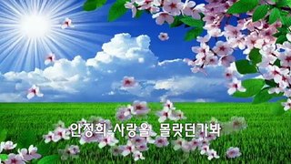 안정희 그리워지네 /사랑을 몰랐던가봐