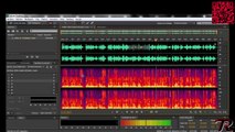 Adobe Premiere PRO : Aprender a editar vídeos | Nivel: Experto (Enlazar con Adobe Audition CS6)