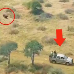 How lucky is this truck?!  Don't forget to follow us