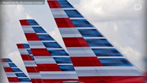 Giant Bird Shatters Nose Of American Airlines Airplane