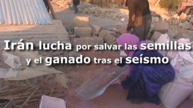 La lucha por salvar las semillas y el ganado tras el terremoto de Irán