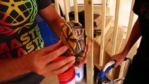 Scotty Cranmers Turtle and Tortoise Collection