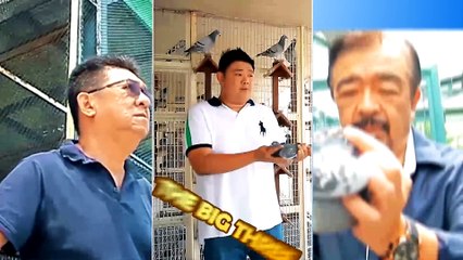 Alagang Magaling S8 EP9 - KALAPATINEUR - ARNOLD SALVADOR