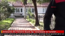 Antalya'da Atlı Polislere Büyük İlgi: Vatandaşlar ve Turistler Selfie Yarışına Giriyor