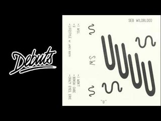 Seb Wildblood “Bonsai Care” - Boiler Room Debuts