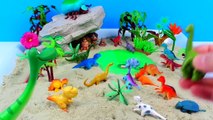 Learning Sea Animal Names for kids, children, toddlers, Kids Learn Sea Animals Shark