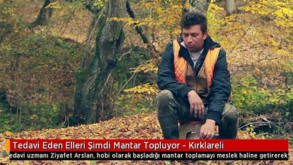 Tedavi Eden Elleri Şimdi Mantar Topluyor - Kırklareli