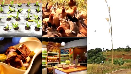 Alagang Magaling S8 EP10 - PIGEON SEMINAR CARAVAN - MAGALANG PAMPANGA