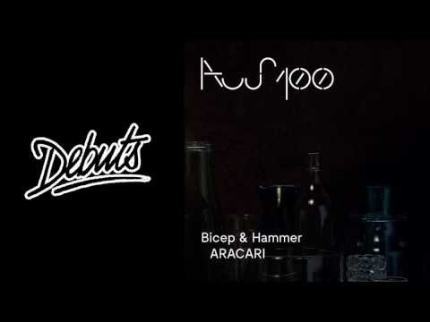 Bicep & Hammer “ARACARI - Boiler Room Debuts