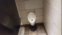 I had to flush this Dirty bathroom toilet at StarBucks