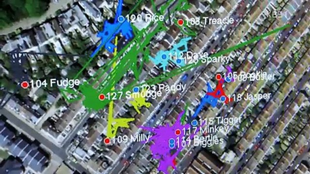 동물의 세계.171117