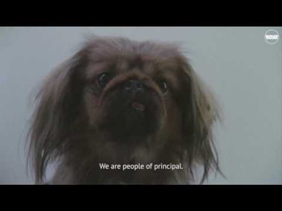 adidas Originals x Boiler Room present Future Shift - Part 3:より多くの愛 / Skotoboynia