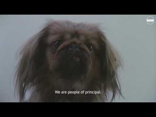 adidas Originals x Boiler Room present Future Shift - Part 3:より多くの愛 / Skotoboynia