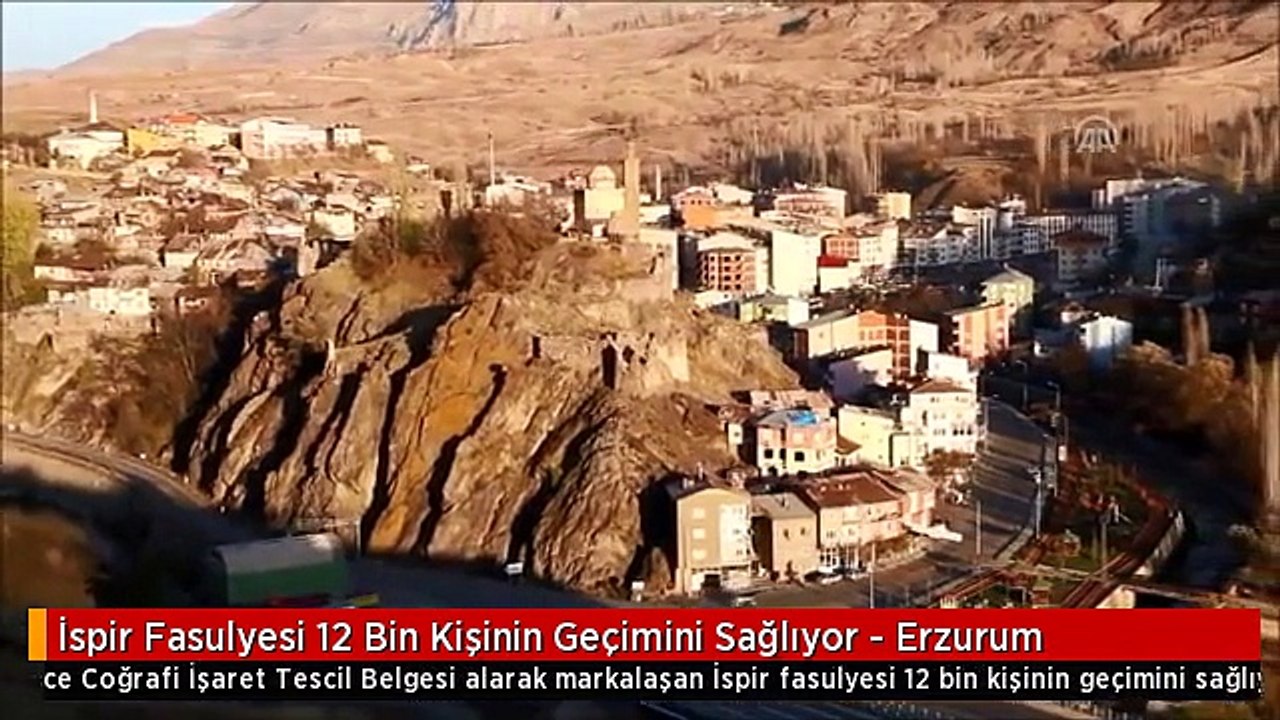 İspir Fasulyesi 12 Bin Kişinin Geçimini Sağlıyor - Erzurum