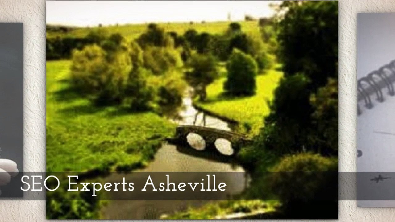 Local Business SEO Services | Professional SEO Services Agency | PushLeads