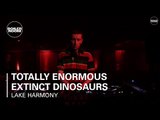 Totally Enormous Extinct Dinosaurs Boiler Room Ray-Ban x Boiler Room Weekender | DJ Set