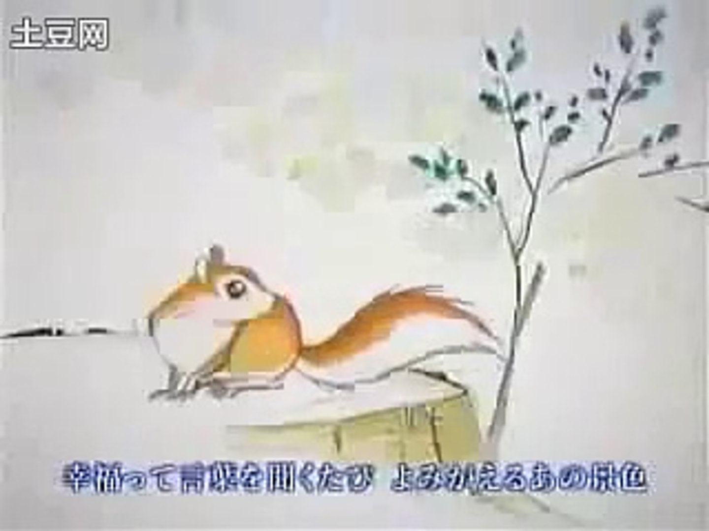 The Boy Who Fell In Love With A Squirrel リスに恋した少年 Video Dailymotion