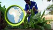 Ugandan schools inspire with urban farming | DW English