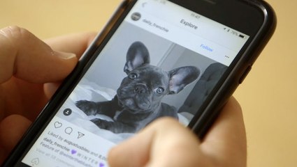 How Instagram Uses Machine Learning To Help You Explore