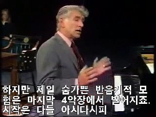 모차르트가 왜 약빤 천재인지 설명하는 하버드음대 강의 (번스타인)