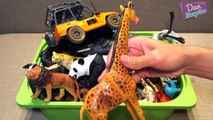 MY ANIMAL TOYS COLLECTION - What wild animals are in this box? Lions Tigers Cheetah Jaguar