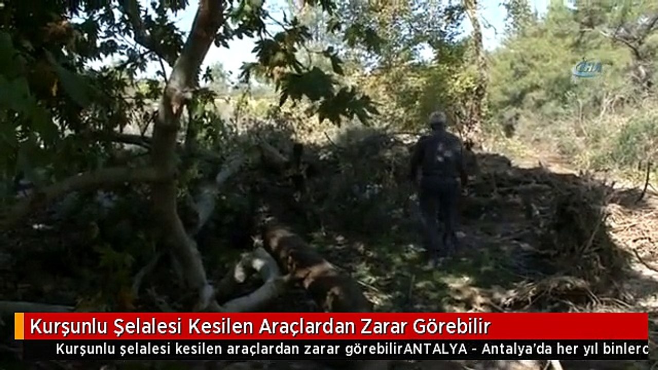 Kurşunlu Şelalesi Kesilen Araçlardan Zarar Görebilir