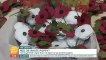 Leftists Criticize Red Poppies | Remembrance Day 2017 | White Peace Poppy Debate