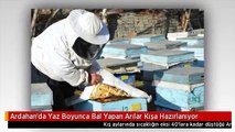 Ardahan'da Yaz Boyunca Bal Yapan Arılar Kışa Hazırlanıyor