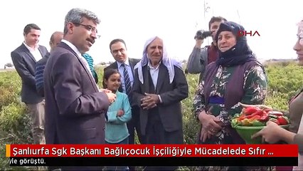 Şanlıurfa Sgk Başkanı Bağlıçocuk İşçiliğiyle Mücadelede Sıfır Tolerans Göstereceğiz