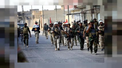 القوات العراقية تستعيد راوة آخر معاقل داعش في العراق