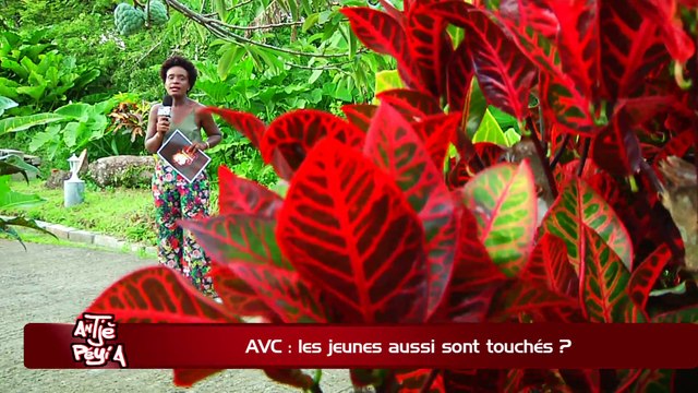ATPA 22 11 17 AVC LES JEUNES AUSSI SONT TOUCHES MARIE ALICE FRANCOIS ELIE OK