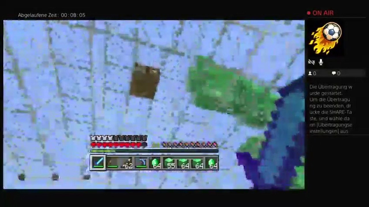 Minecraft (71)