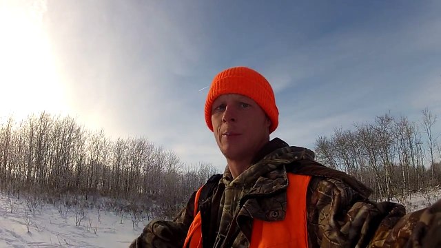 Deer Hunting 170+ Monster Buck while pushing bush!