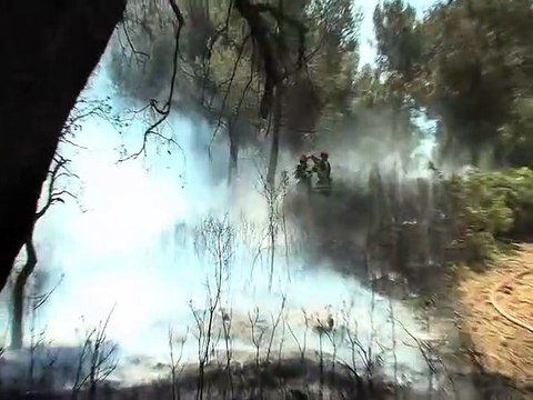 Départ de feu entre Martigues et Port de bouc : 500 mètres carrés detruits (vidéo)