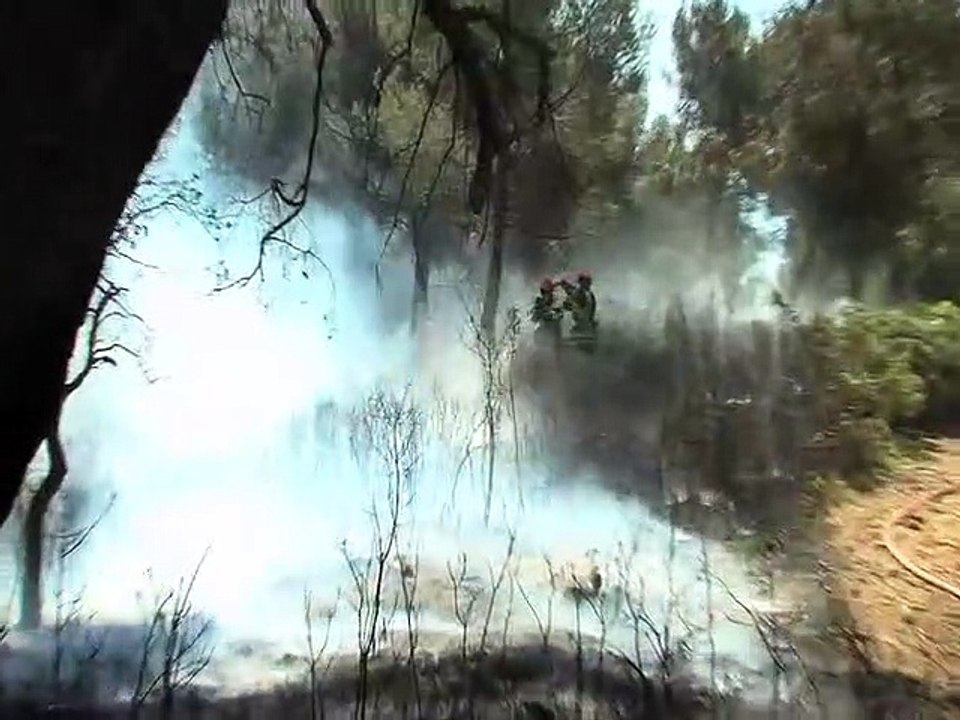Départ de feu entre Martigues et Port de bouc : 500 mètres carrés detruits (vidéo)